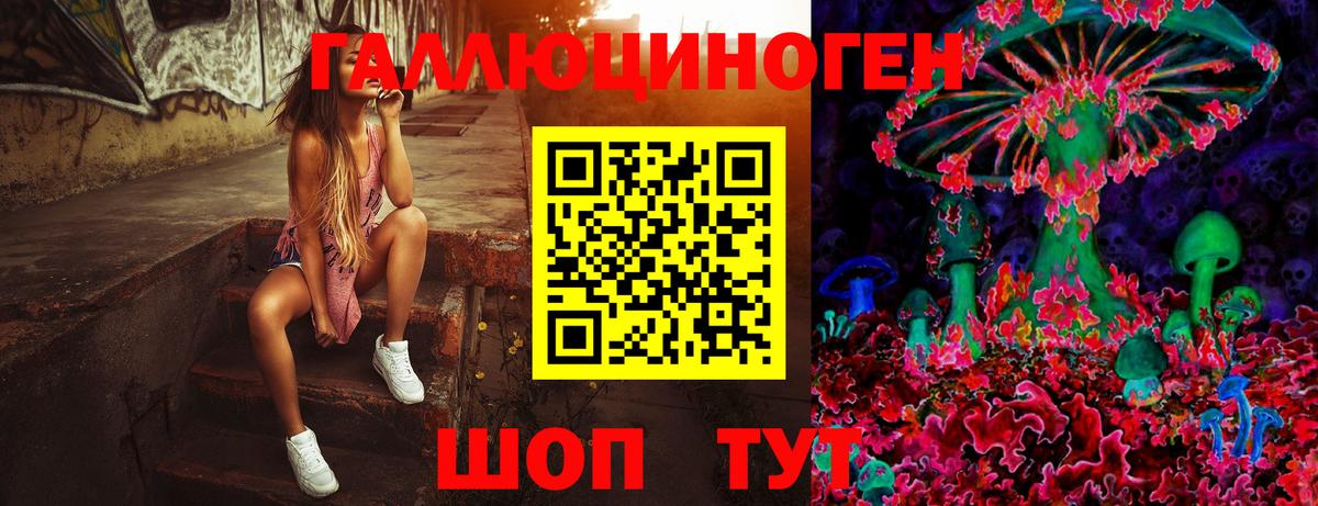купить наркоту  Вход с VPN  Новоалтайск  Псилоцибиновые грибы Psilocybine cubensis 