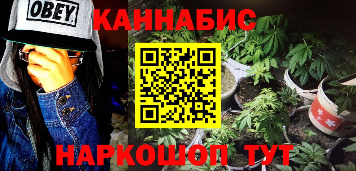 Шишки марихуана OG Kush Новоалтайск